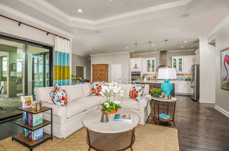 Canoe Creek by Neal Signature Homes in Parrish - photo