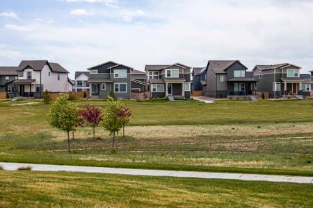 Trailside Alley Load - Single Family Homes by Hartford Homes in Timnath - photo 0