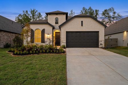 ARTAVIA: 50ft. lots by Highland Homes in Conroe - photo 18 18
