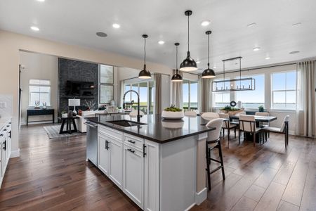 Trailstone Destination Collection by Taylor Morrison in Arvada - photo 136 136