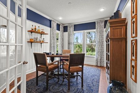Palm Crest AT Seabrook by Providence Homes (Florida) in Nocatee - photo 60 60