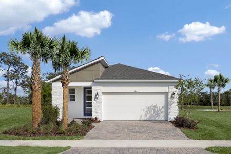 Asbury At Chapel Crossings by Mattamy Homes in Wesley Chapel - photo 6 6