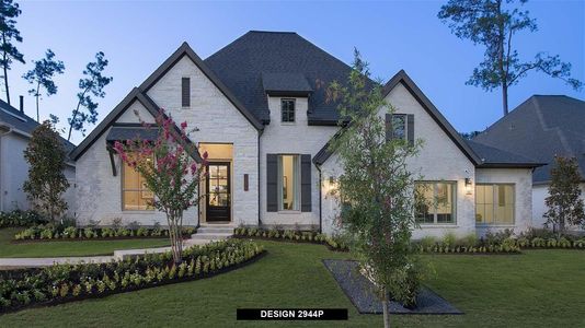 Audubon 60' by Perry Homes in Magnolia - photo 20 20