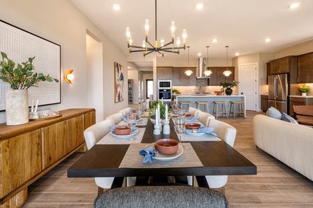 Jacamar at Waterston Central by Tri Pointe Homes in Gilbert - photo 28 28
