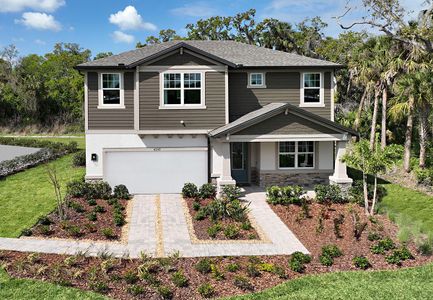 Tea Olive Terrace at the Fairways by William Ryan Homes in Palmetto - photo 3 3