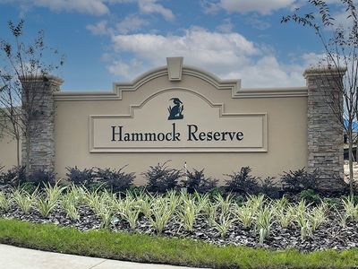 Hammock Reserve by D.R. Horton in Haines City - photo 50 50