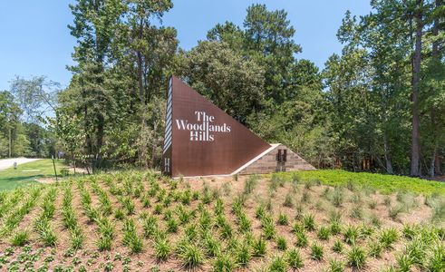 The Woodlands Hills by Brightland Homes in Willis - photo 0 0