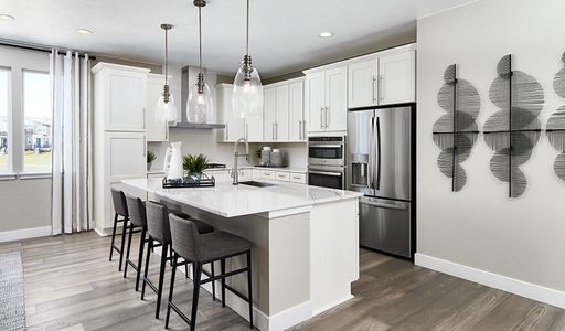 Cityscape at Haskins Station by Richmond American Homes in Arvada - photo 39 39