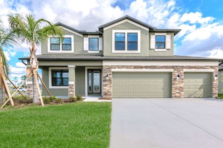 Berry Bay by M/I Homes in Wimauma - photo 18 18