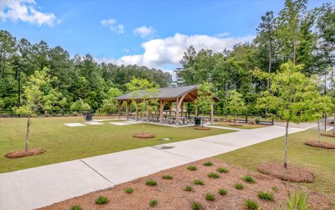 Ashley Cove by Eastwood Homes in Summerville - photo 41 41