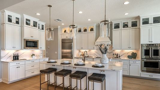 Esplanade at Wiregrass Ranch by Taylor Morrison in Wesley Chapel - photo 37 37