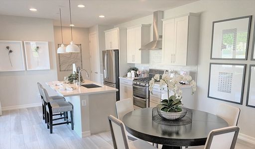 Urban Collection at Big Sky by Richmond American Homes in Kissimmee - photo 10 10