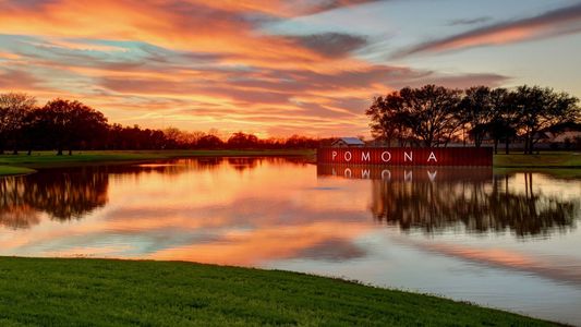 Pomona 60' by Perry Homes in Manvel - photo 4 4
