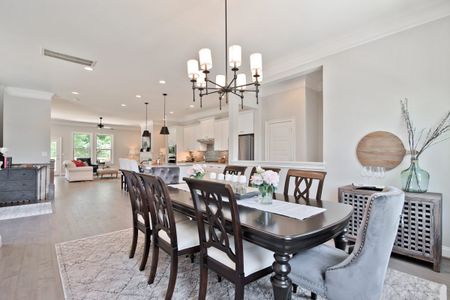 Summit at River Run by Peachtree Residential in Davidson - photo 12 12