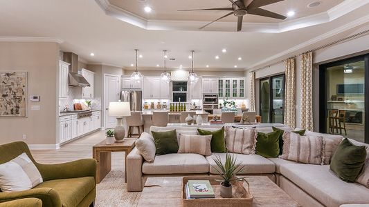 Esplanade at Artisan Lakes by Taylor Morrison in Palmetto - photo 103 103
