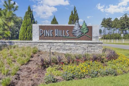 Pine Hills by D.R. Horton in Summerville - photo 2 2