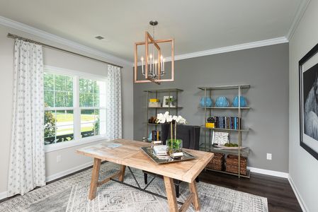 Petterson Meadows by Mungo Homes in Summerville - photo 67 67
