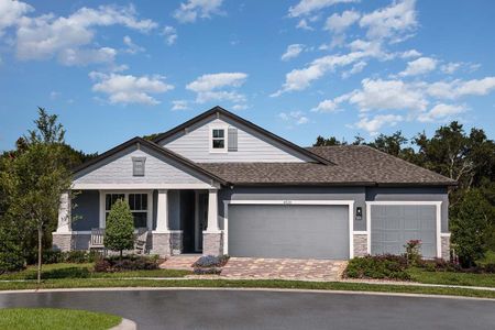 Pinecone Reserve by William Ryan Homes in Brooksville - photo 10 10