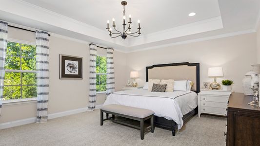 Neill's Pointe by DRB Homes in Angier - photo 9