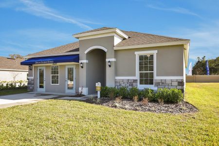 Hammock Reserve by Dream Finders Homes in Haines City - photo 8 8