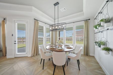 Meridiana by Tricoast Homes in Arcola - photo 14