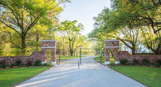 Waterloo Estates by Dream Finders Homes in Johns Island - photo 1 1