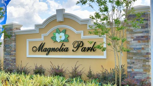 Magnolia Park by Adams Homes in Haines City - photo 34