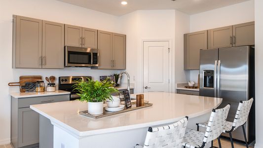 The Townhomes at Bellalago by Taylor Morrison in Kissimmee - photo 56 56