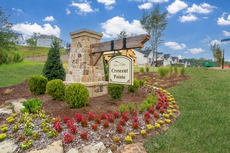 Crescent Pointe at Great Sky by David Weekley Homes in Canton - photo 36