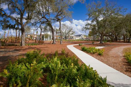 Oakland Park - Park Series by David Weekley Homes in Oakland - photo 4 4