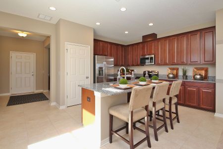 Epperson by M/I Homes in Wesley Chapel - photo 35 35