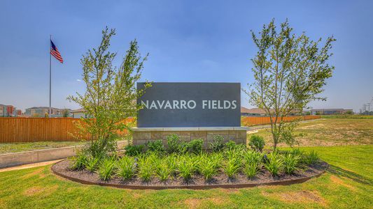 Navarro Fields by D.R. Horton in Seguin - photo 35 35