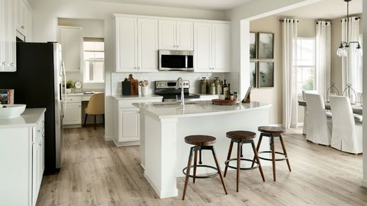 Trailstone Town Collection by Taylor Morrison in Arvada - photo 59 59