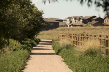 The Lakes at Centerra - Discovery by Landmark Homes in Loveland - photo 55 55
