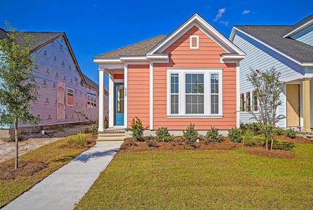 Nexton - Midtown - The Park Collection by David Weekley Homes in Summerville - photo 28 28
