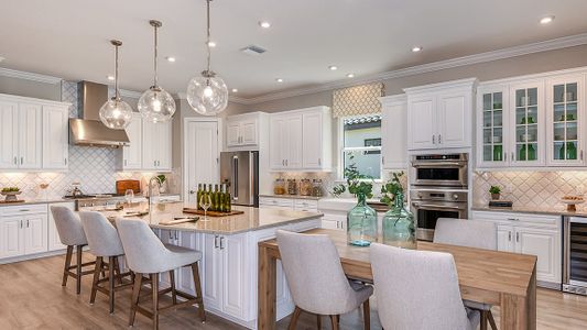 Esplanade at Artisan Lakes by Taylor Morrison in Palmetto - photo 97 97