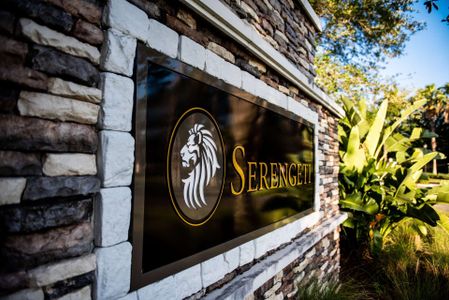 Serengeti by Biscayne Homes in Spring Hill - photo