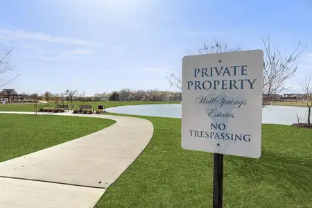 Wellspring Estates by First Texas Homes in Celina - photo 57