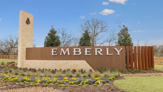 Emberly by DSLD Homes in Beasley - photo 0