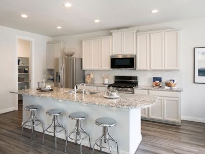 Spring Brook Village - Townhome Collection by Meritage Homes in Houston - photo 21 21