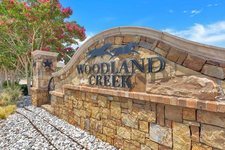 Woodland Creek by UnionMain Homes in Lavon - photo 6 6