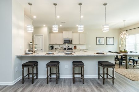 Saddlebrook by Smith Douglas Homes in Sherrills Ford - photo 8 8