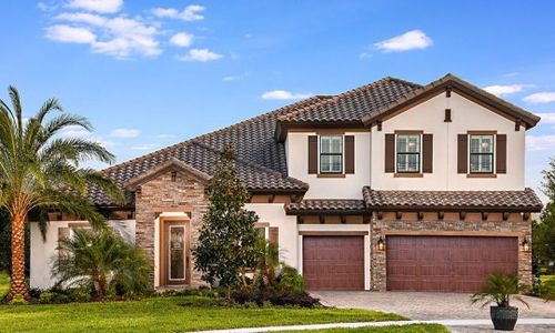 Creek Ridge Preserve by Homes by WestBay in Lithia - photo 8