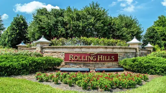 Rolling Hills by LGI Homes in Green Cove Springs - photo