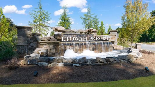 Etowah Preserve by D.R. Horton in Dawsonville - photo