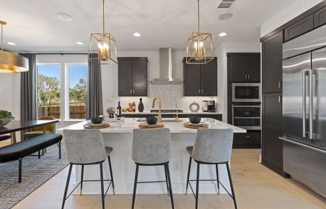 Terrace Collection at Bar W Ranch by Tri Pointe Homes in Leander - photo 24 24