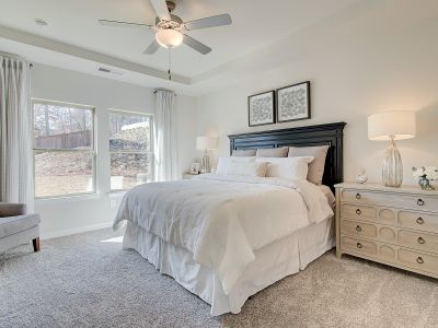 Vistas at Towne Mill by Meritage Homes in Canton - photo 11 11