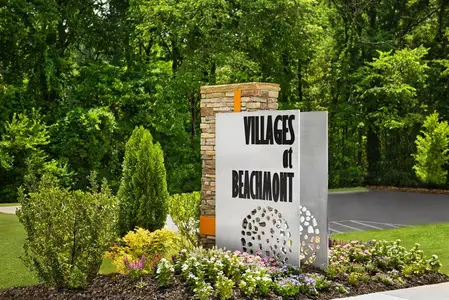 Villages at Beachmont by Ryan Homes in Charlotte - photo 4 4