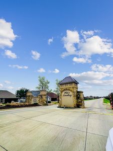 Abe's Landing by Bloomfield Homes in Granbury - photo 6 6