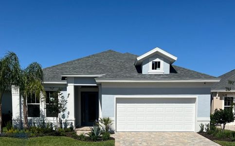 Coastal Gardens At Town Enter by Paytas Homes in Palm Coast - photo 11 11